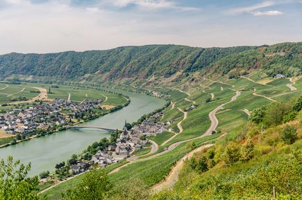 Urlaub in DE: Grüne Weinberge direkt an der Mosel