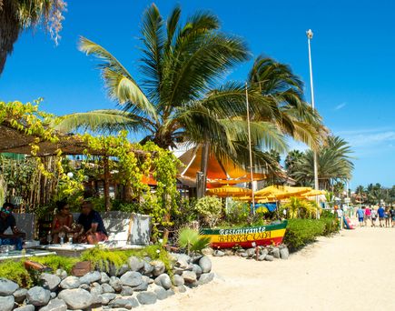 Kap Verde im März: An einem Sandstrand stehen bunte Sonnenschirme in begrünter Atmosphäre