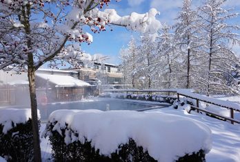 Hotel Herzog Heinrich