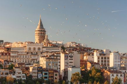 Städtereisen: Die Skyline von Istanbul mit einer Vogelschaar im Himmel