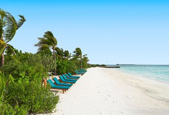 Canareef Resort Maldives