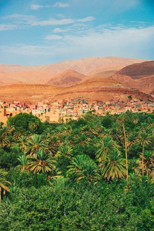 Urlaub im Orient: Eine Wüstenlandschaft direkt an Palmen und ein marokkanisches Dorf