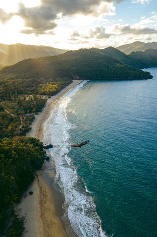 Urlaub in der Domrep: Eine Luftaufnahme eines leeren Strands, direkt am Djungel mit einem Vogel in der Luft