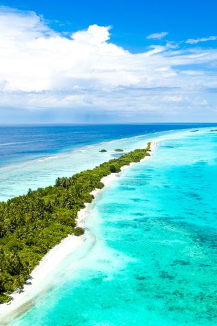 Malediven Urlaub: Eine schmale, lange Insel mit tropischen Palmen am türkisen Wasser mit Korallenriffen.