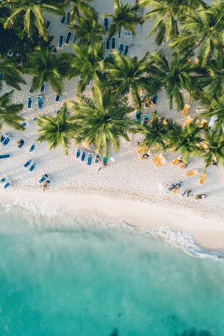 Urlaub in der Domrep: Eine Luftaufnahme eines karibischen Strands mit Sonnenliegen und Palmen.