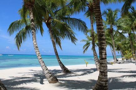 Tropische Palmen an einem leeren, weißen Strand und türkisem Wasser auf der Dominikanischen Republik
