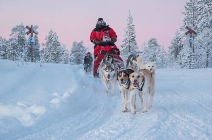Ein Huskeyschlitten fährt durch eine verschneite Landschaft