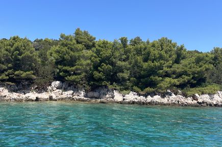 Kroatien Urlaub: Kristallklares, türkises Wasser mündet an graue Felsen und Pinienwälder